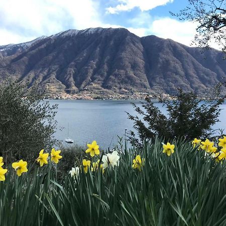 Big Apartment With Lake View And Three Bedrooms Sala Comacina Exterior foto
